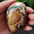 Natural stone Marine palm healing crystals Decorative collection stones and crystals