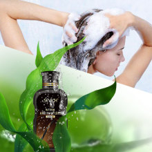 Natural Anti Hair Loss Products Shampoo Hair Regrowth Shampoo Treatment cream Chinese Herbal Hair Serum growth sevich 200 ml