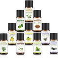 Pyrrla 8ml 10 pcs/Set with Gift Box Pure Essential Oil Lemon Rosemary Vetiver Ylang Jasmine Myrrh Patchouli Eucalyptus sage Oil