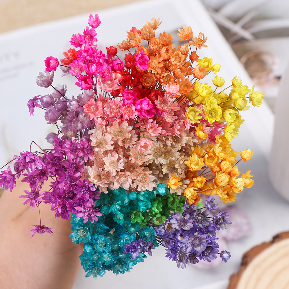 1 Bunch Decorative Dried Flowers Mini Daisy Small Star Flowers Bouquet Natural Plants Preserve Floral For Wedding Home Decor