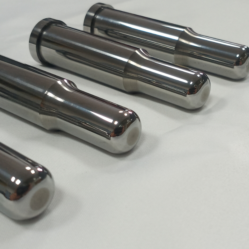 Punch Punch Die Mould