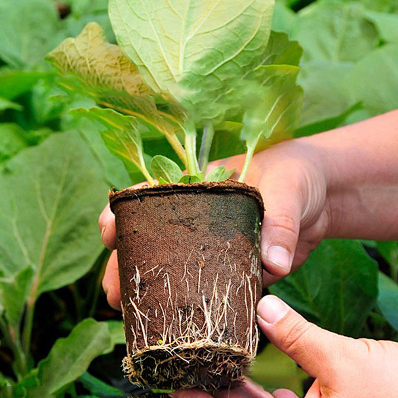 100PCS Nursery Pot Environmental Protection Degradable Seedling Cup 8*8cm Paper Garden Supplies Household Tools