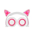 https://www.bossgoo.com/product-detail/oem-personal-lighting-cute-cat-ear-57457323.html
