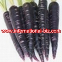 Black Carrot Color