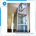Passenger Lift Panoramic Glass Elevator with En81 Standard