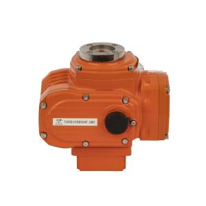 Motorized Valve Actuator 220V 50nm Electric Actuator