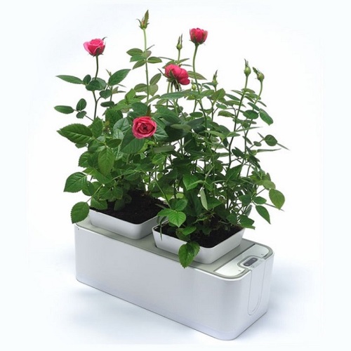 Indoor Planter Growing Rubber Flower Pot Manufacturers and Indoor Planter Growing Rubber Flower Pot Suppliers