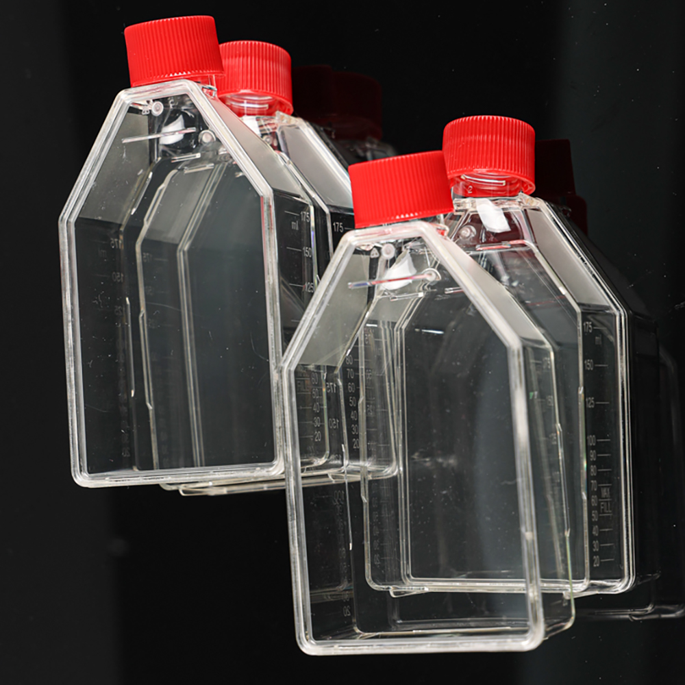 labortary use cell culture flasks