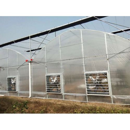 Tomato Cucumber Flower Horticulture Venlo Glass Greenhouse Manufacturers and Tomato Cucumber Flower Horticulture Venlo Glass Greenhouse Suppliers