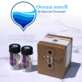 ocean smell