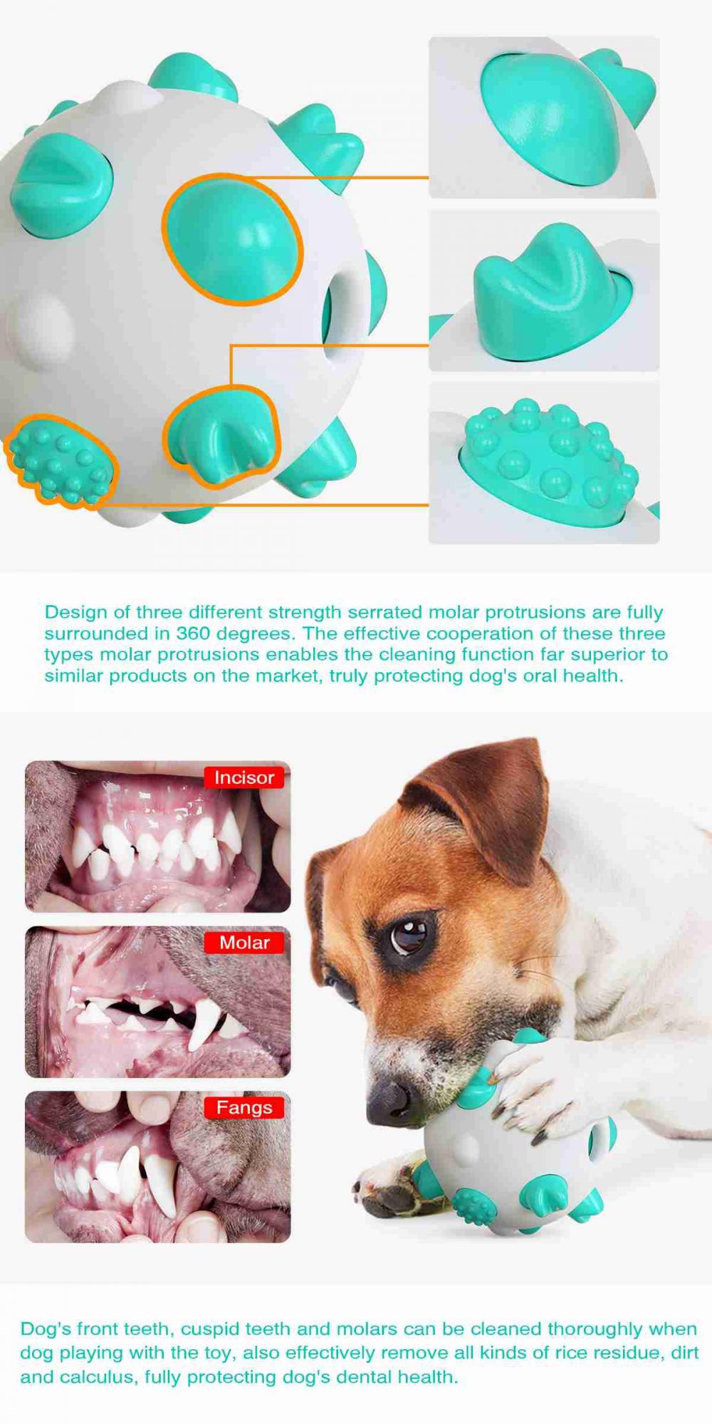 Dog Toys For Chewers