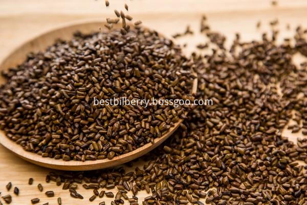 Cassia Angustifolia Seed Extract