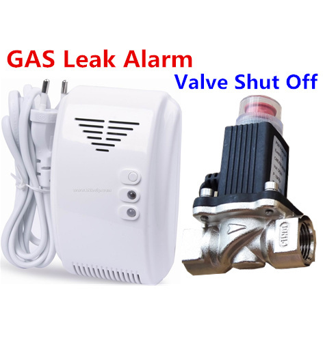 Standalone LPG Natural Gas Detector with Automatic Valve DN15 to Shut Off Pipe for Home Security.