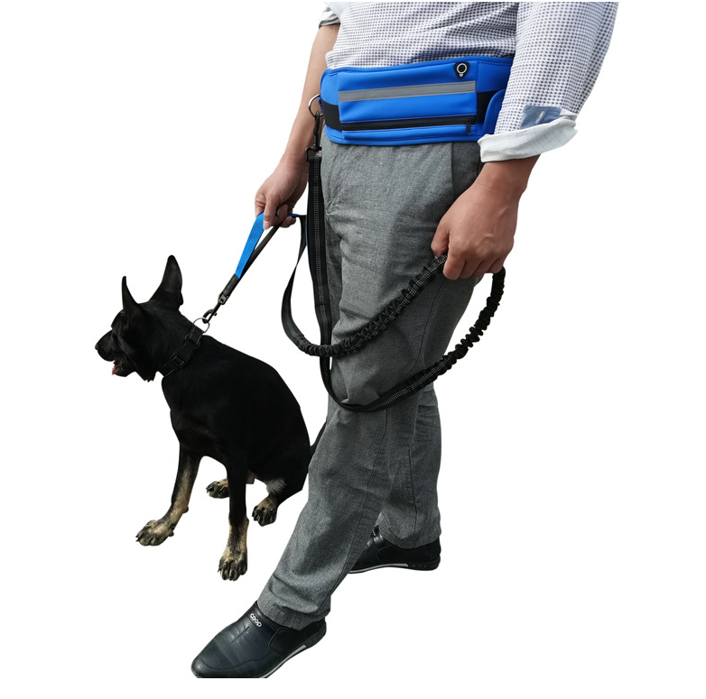 Dog Leash Climbing Rope