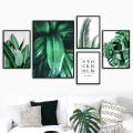 Wall Art Fresh Plant Palm Monstera Banana Leaf Canvas Painting Nordic Posters And Prints Wall Pictures For Living Room Decor