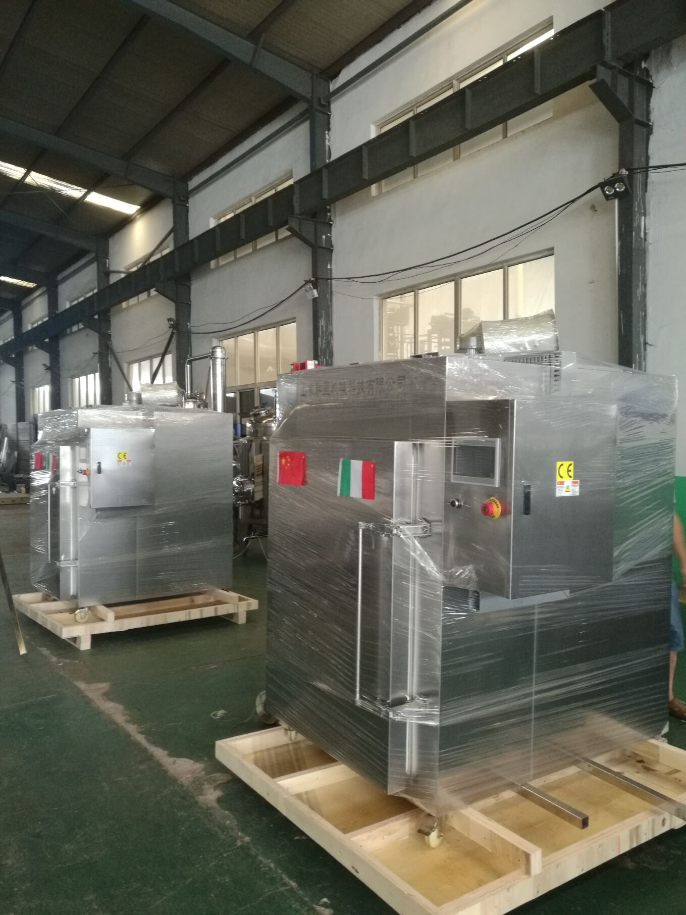 black garlic machine