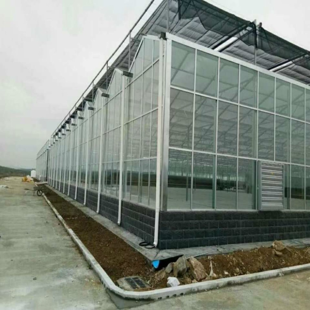 PC Board Multi-span Greenhouse