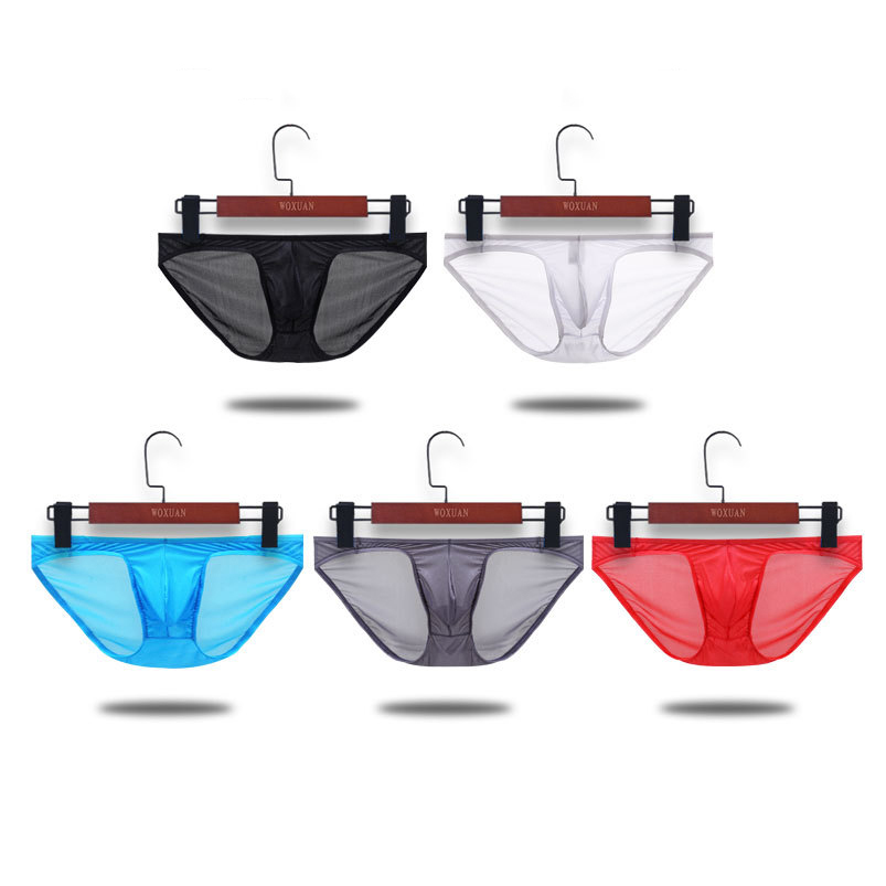 New Briefs Mesh Nylon Calzoncillos Hombre Cueca Panties See Through Thin Hot Bikini Mens Sexy Underwear