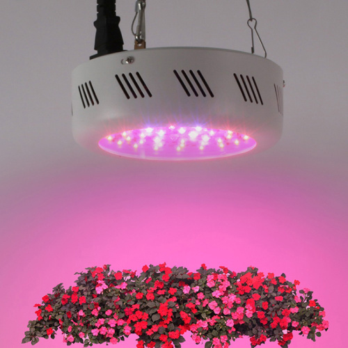 Greenhouse Hydroponic LED Growing Light Manufacturers and Greenhouse Hydroponic LED Growing Light Suppliers