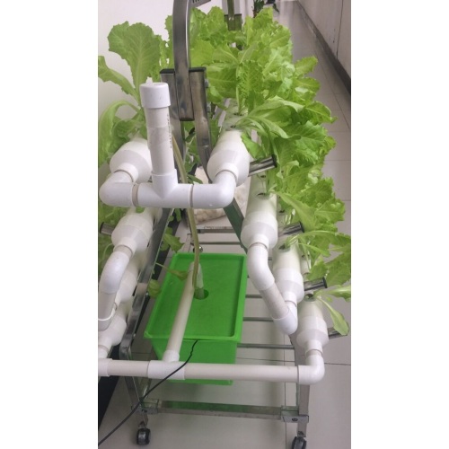 Garden Home NTF Indoor Hydroponic Grwoing System Manufacturers and Garden Home NTF Indoor Hydroponic Grwoing System Suppliers