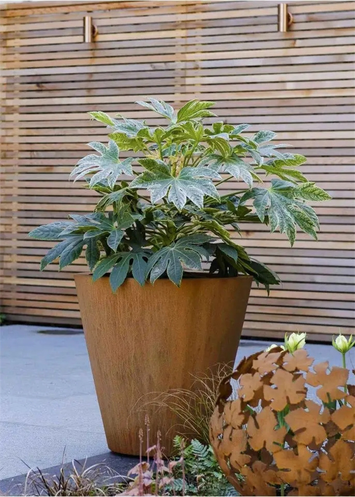 Extra Large Plant Pots Indoor