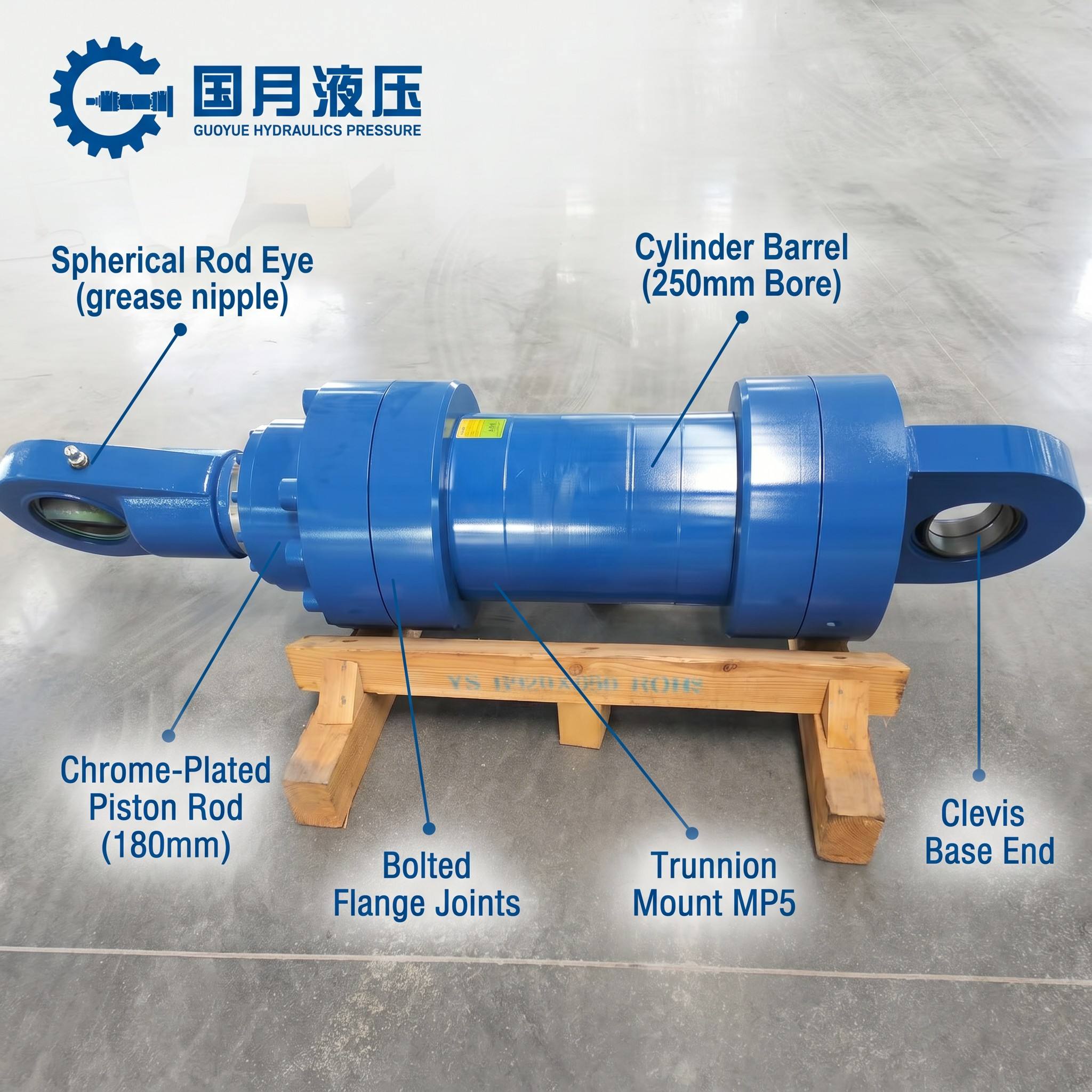 CDH1 MP5 250/180-350