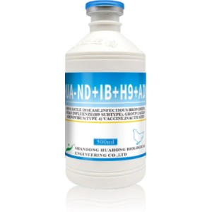 ND IB H9 FAdV-4 Inactivated Vaccine