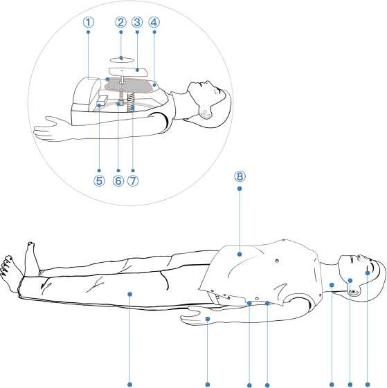 Advanced CPR Training Manikin–Computer/Tablet Control