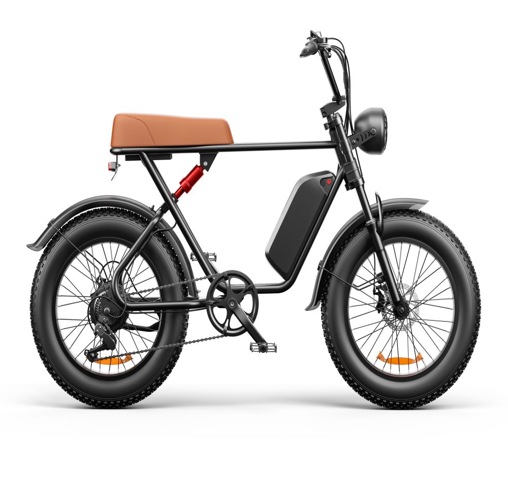 20 Inch Fat Tire Electric Bikes Motorcycle