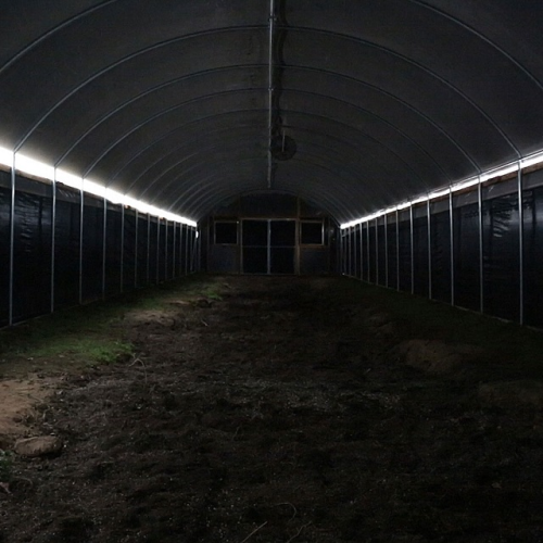 Agriculture Light Deprivation Blackout Greenhouse Manufacturers and Agriculture Light Deprivation Blackout Greenhouse Suppliers