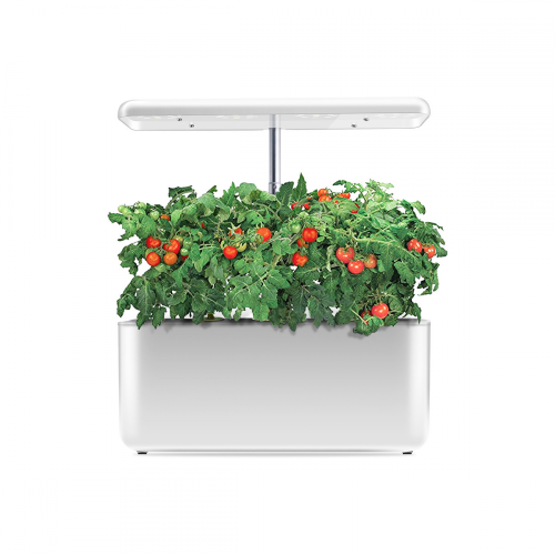 Indoor Intelligent Mini Farm Hydroponic Growing Systems Manufacturers and Indoor Intelligent Mini Farm Hydroponic Growing Systems Suppliers