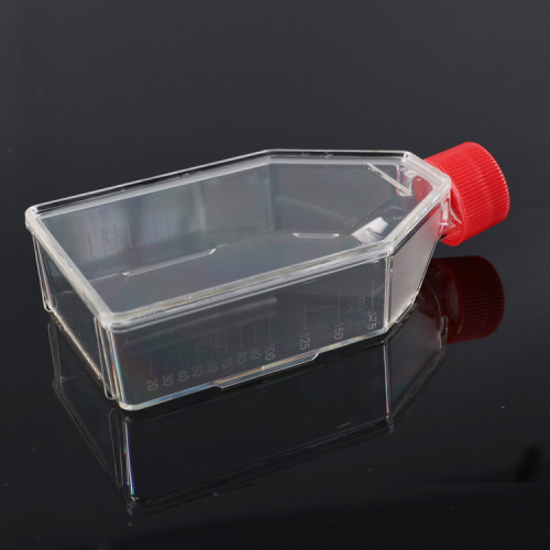 Best Cell culture flask, T-25, surface Manufacturer Cell culture flask, T-25, surface from China