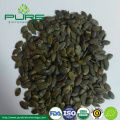 GWS pumpkin seeds kernel Grade A/AA/AAA