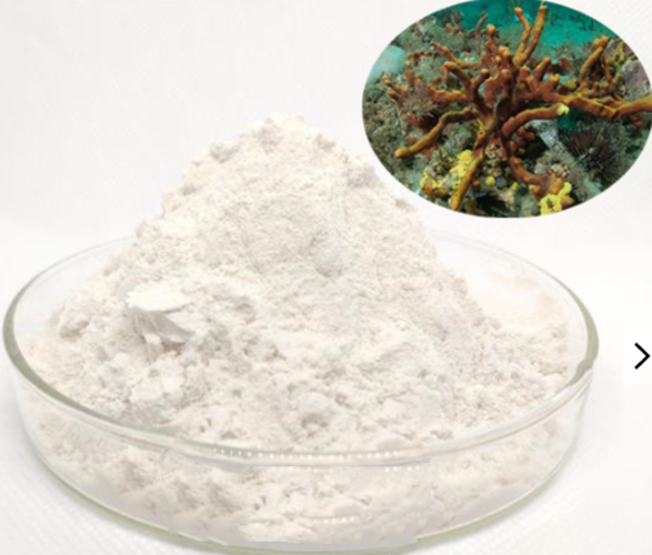 spongilla spicule