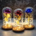 Beautiful eternal rose, LED Eternelle light, the beauty and the Beast, rose in crystal dome for mother's birthday, gift for