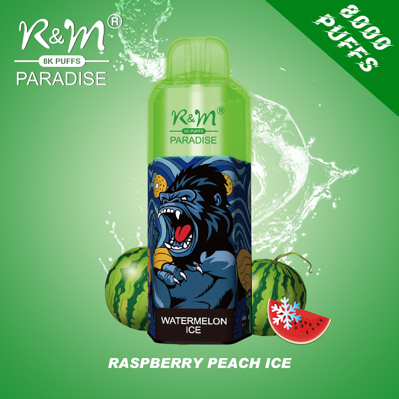 R M Paradise 8000 Puffs Hot Selling Disposable Usa