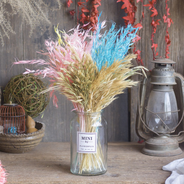 50pcs Real Dry Flower Bouquet Dried Natural Flowers Plant Oats Branch Wedding Decoration Table Pampas Grass Decor