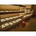 120W 240W 480W quantum board Grow Light