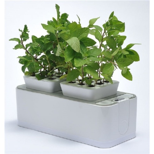 Indoor Mocle Flower Pot Grow System Manufacturers and Indoor Mocle Flower Pot Grow System Suppliers