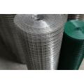 Galvanized Welded Wire Mesh /PVC Coated Wire Mesh