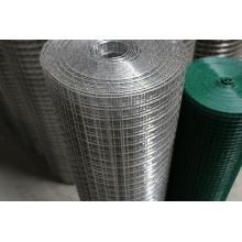 Galvanized Welded Wire Mesh /PVC Coated Wire Mesh