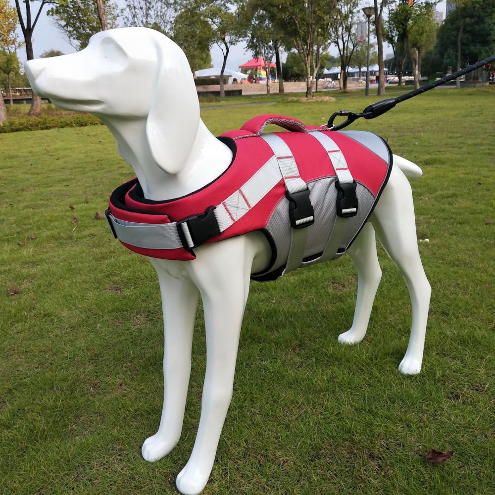 Pet Supplies And Clothing