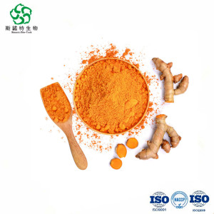 Organic Turmeric Extract 95% Curcumin Powder