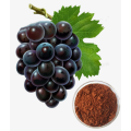 https://www.bossgoo.com/product-detail/grape-seeds-extract-cas-84929-27-63396418.html