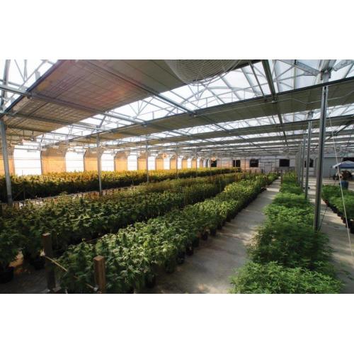 Agriculture Light Deprivation Blackout Greenhouse Manufacturers and Agriculture Light Deprivation Blackout Greenhouse Suppliers