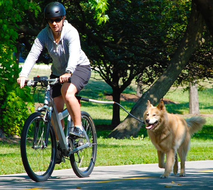 Best Dog Bike Leash