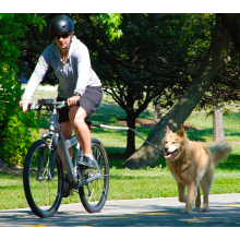Higher Cost Performance Dog Bike Leash