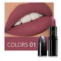 6 Colors Matte Lipsticks Waterproof Matte Lipstick Lip Sticks Cosmetic Easy to Wear Matte Long Lasting Makeup Lipstick TSLM1