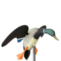 DC 6V Plastic Mallard Motorized Hunting Decoys Hunting with Spinning Wings