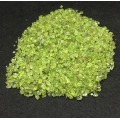 50g Natural Peridot Olivine Quartz Green Crystal Stone Rock Chips Lucky Healing family natural stones minerals Fish tank stones
